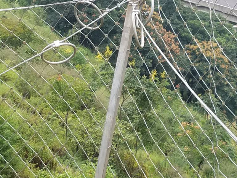 RX-075�ͱ��ӷ��o�W(w��ng)